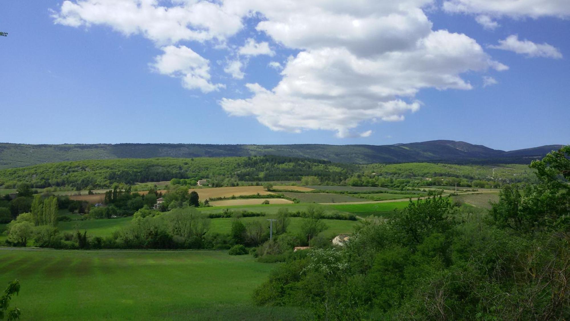 Le Grain De Lavande - Mont Ventoux * Sault-de-Vaucluse